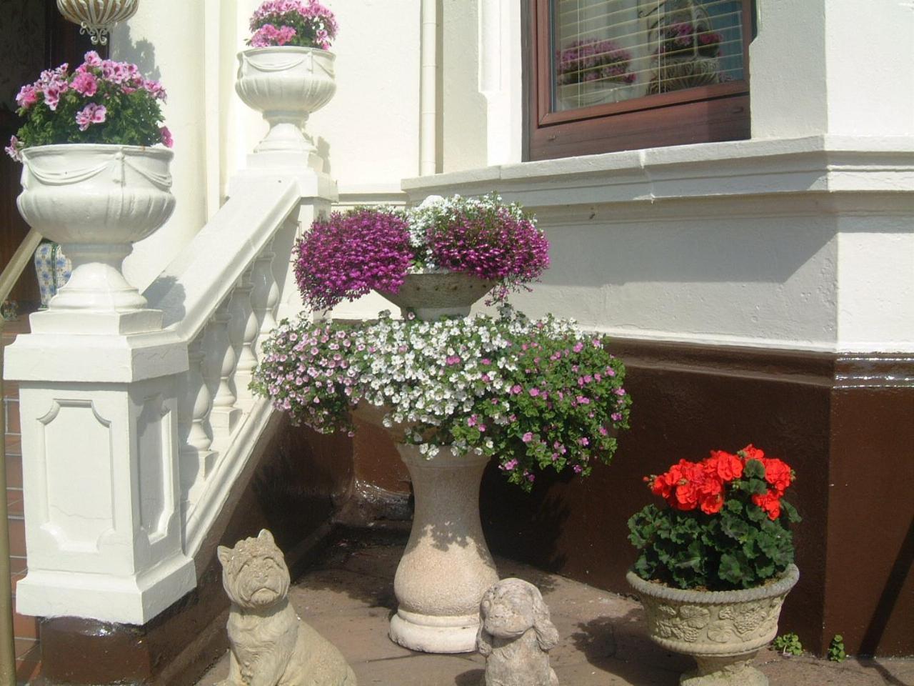 Manor House B And B Larne Εξωτερικό φωτογραφία